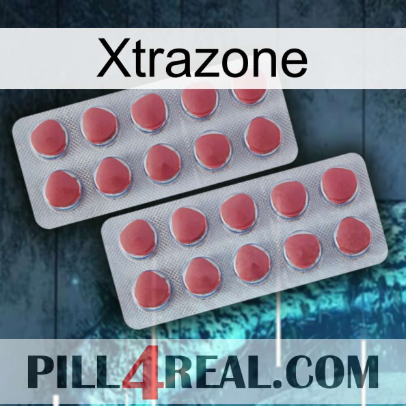 Xtrazone 19.jpg